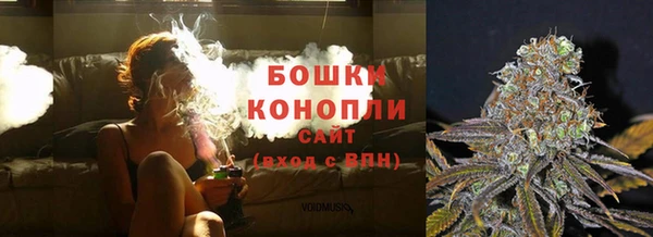 PSILOCYBIN Нязепетровск