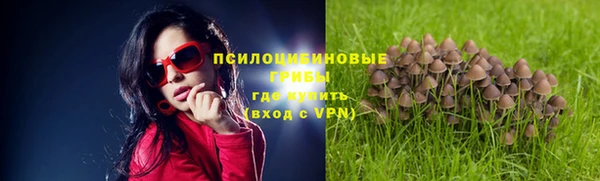 каннабис Белокуриха