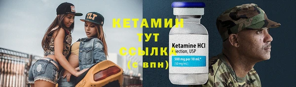 индика Беломорск