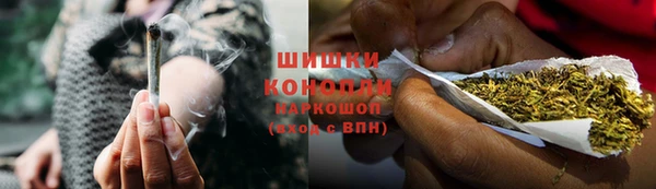 PSILOCYBIN Балахна