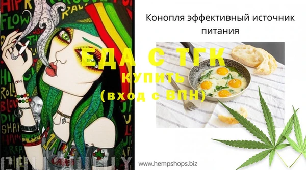 индика Беломорск