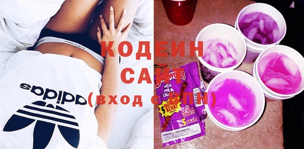 индика Беломорск