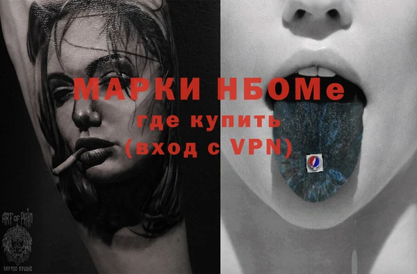 индика Беломорск