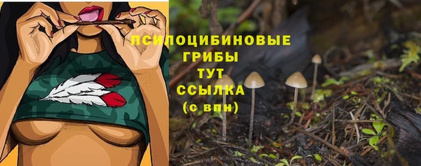каннабис Белокуриха