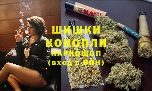индика Беломорск