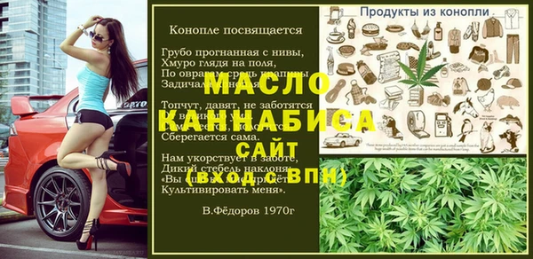 индика Беломорск